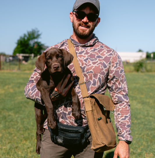 Puppy Board & Train - 2 Weeks