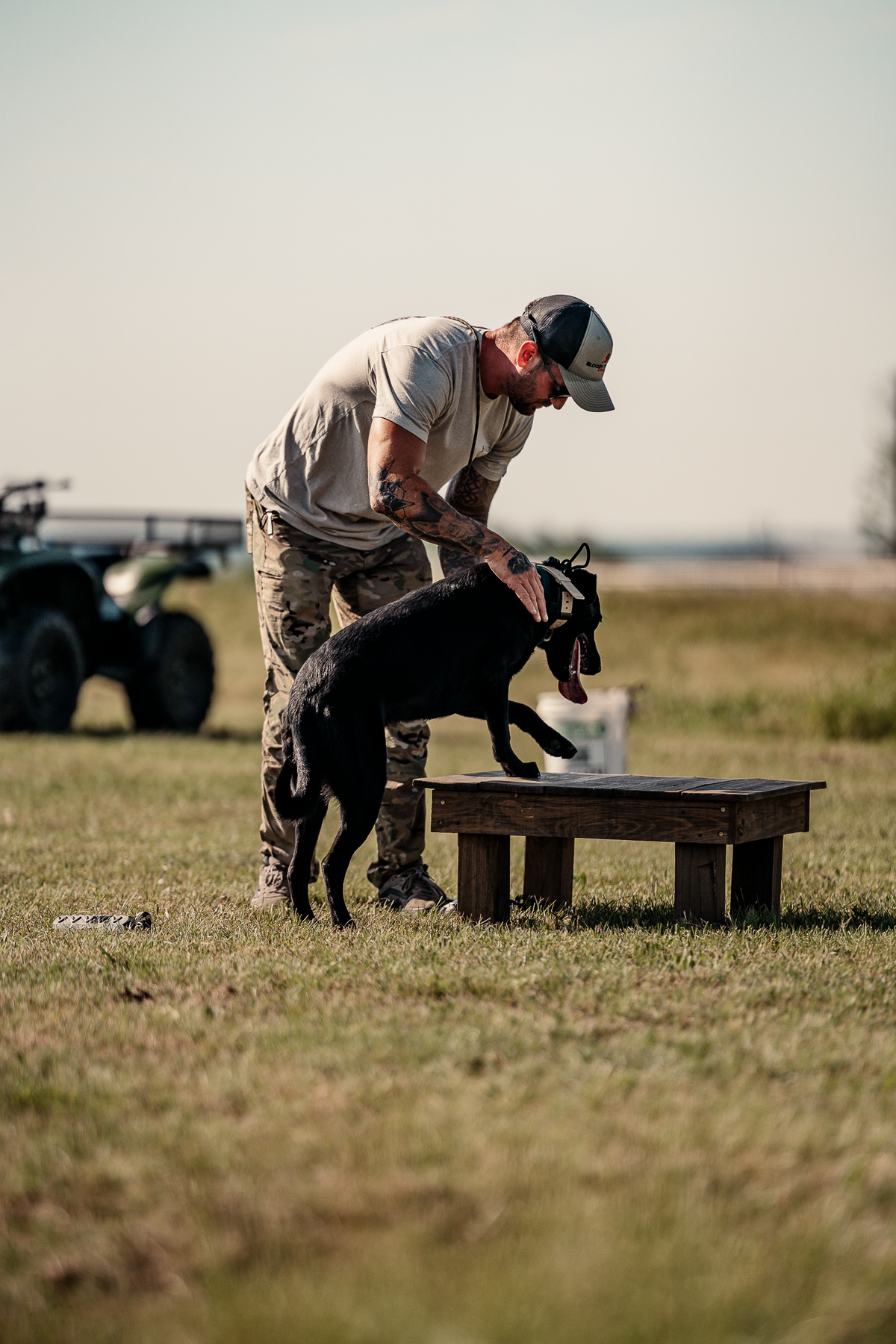 Pup & Up Gun Dog Program