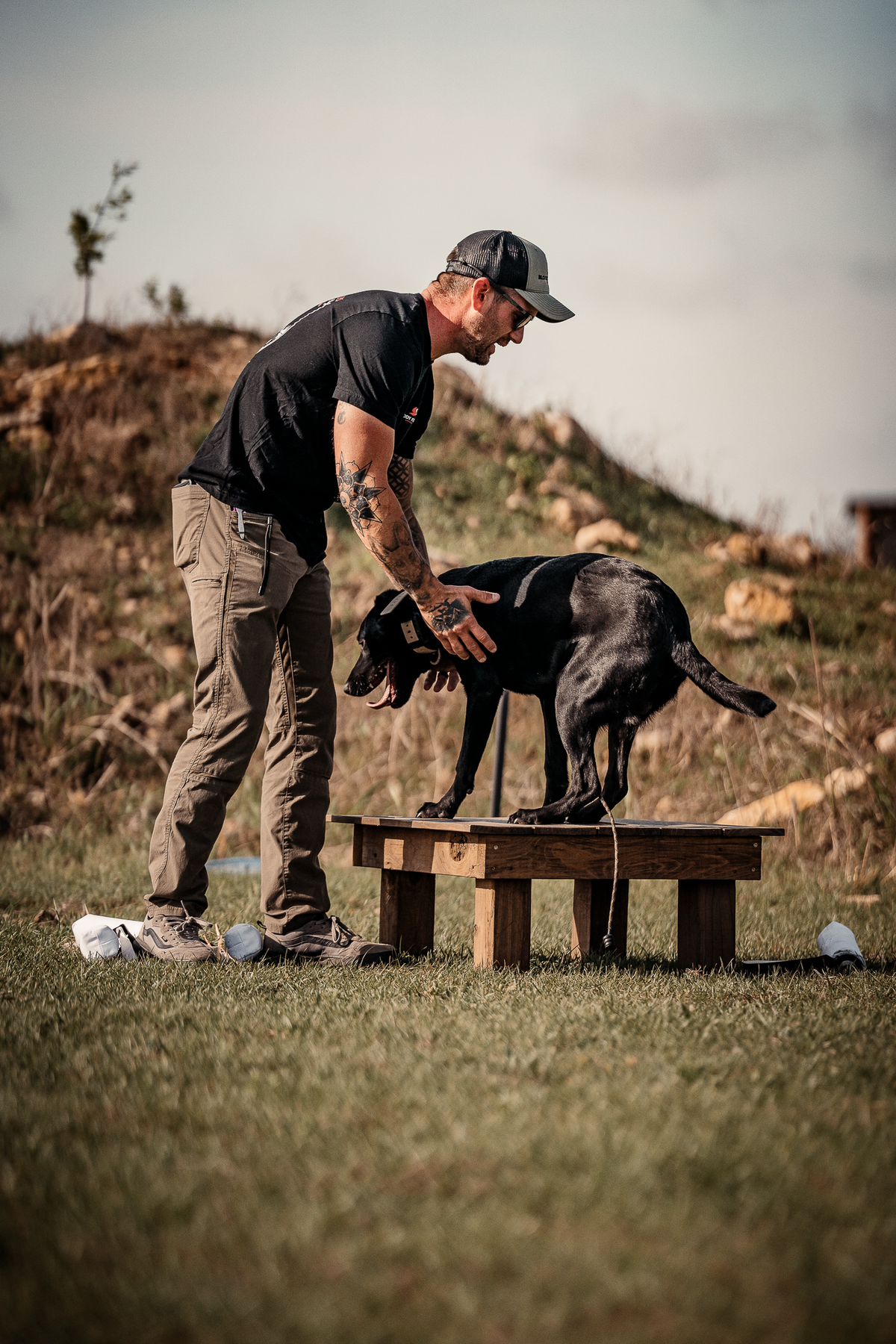 Pup & Up Gun Dog Program