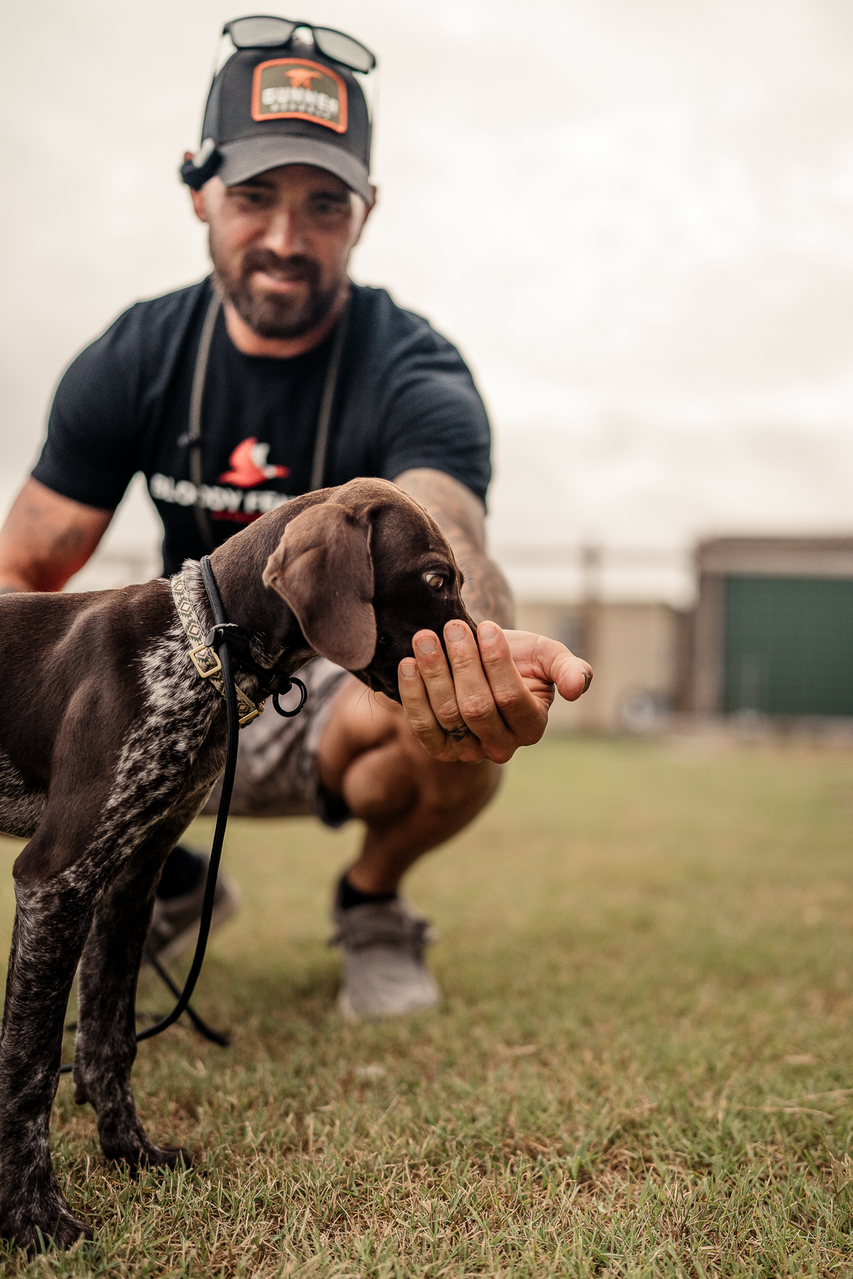 Puppy Board & Train - 2 Weeks