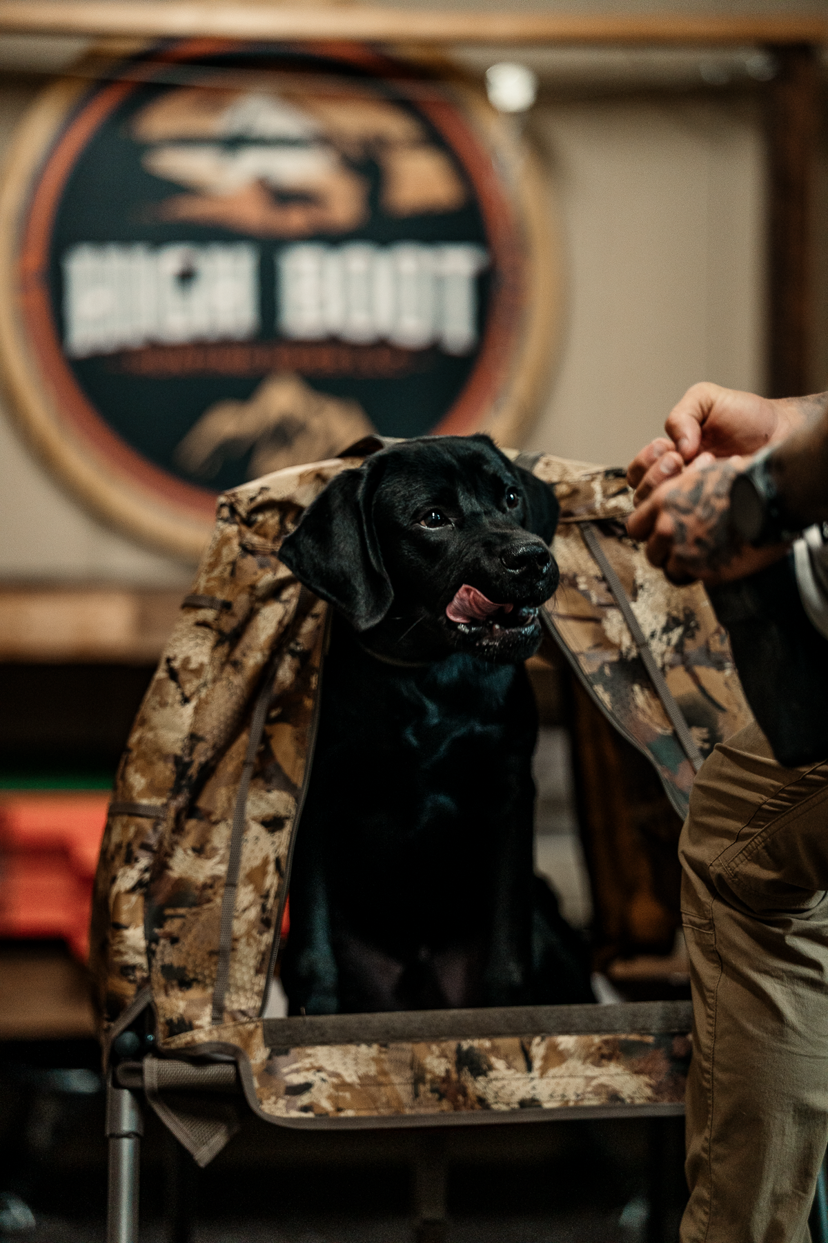 Pup & Up Gun Dog Program