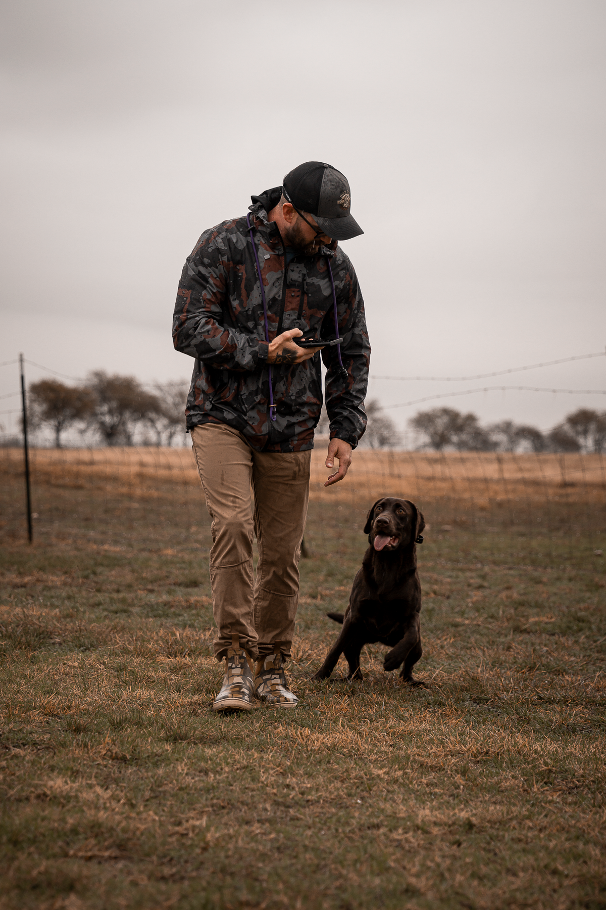 Puppy Board & Train - 2 Weeks