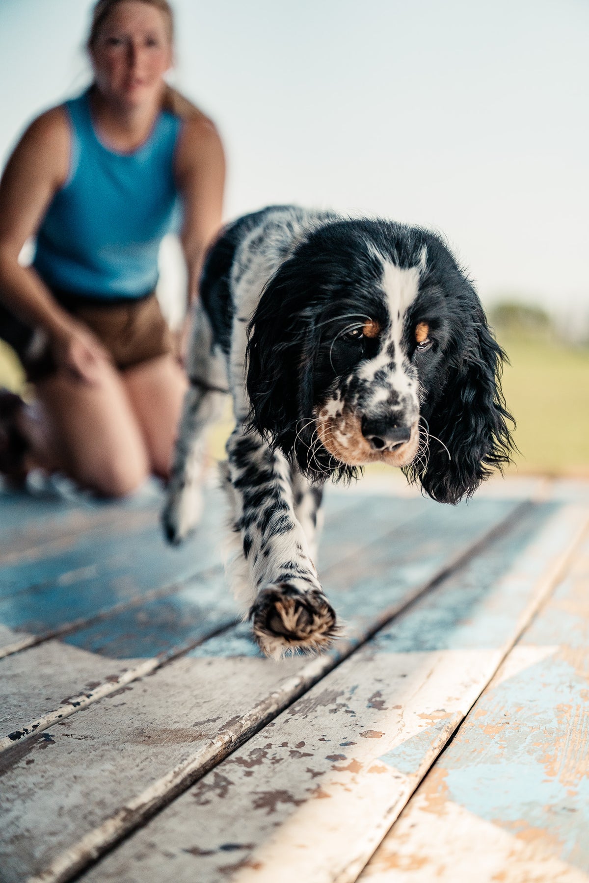 Puppy Board & Train - 2 Weeks
