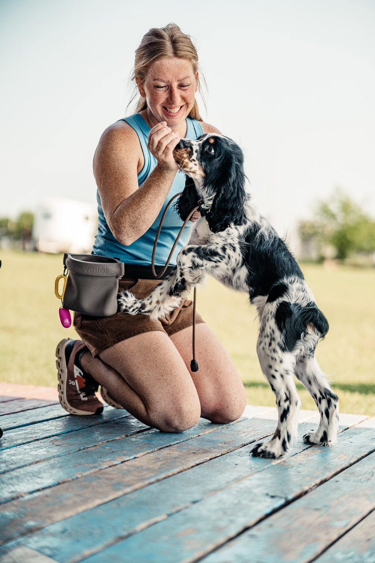 Puppy Board & Train - 2 Weeks