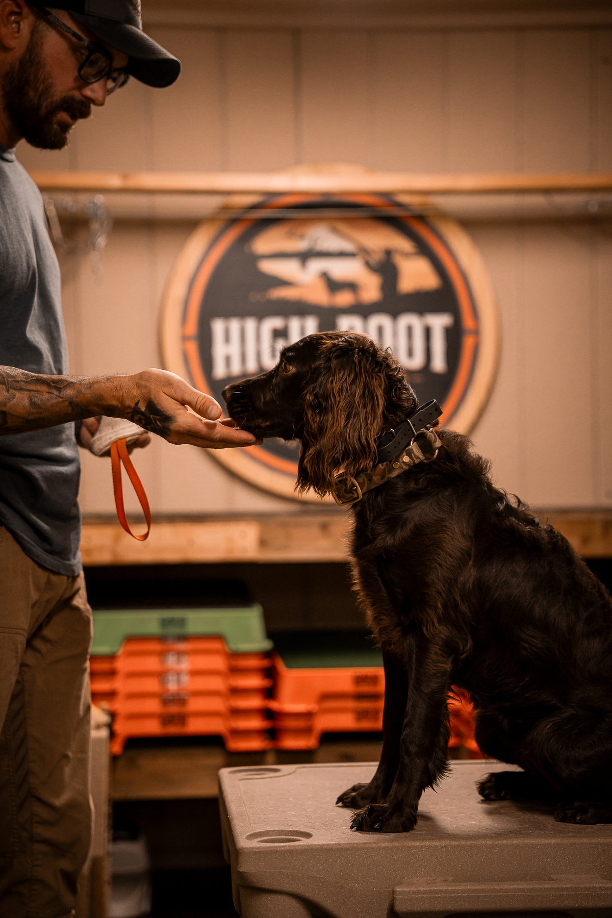 Pup & Up Gun Dog Program