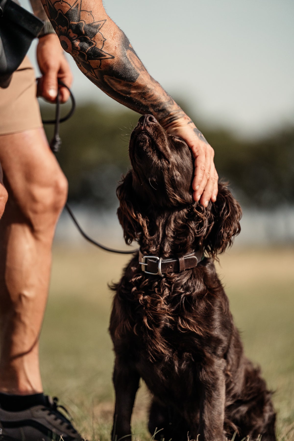 Pup & Up Gun Dog Program