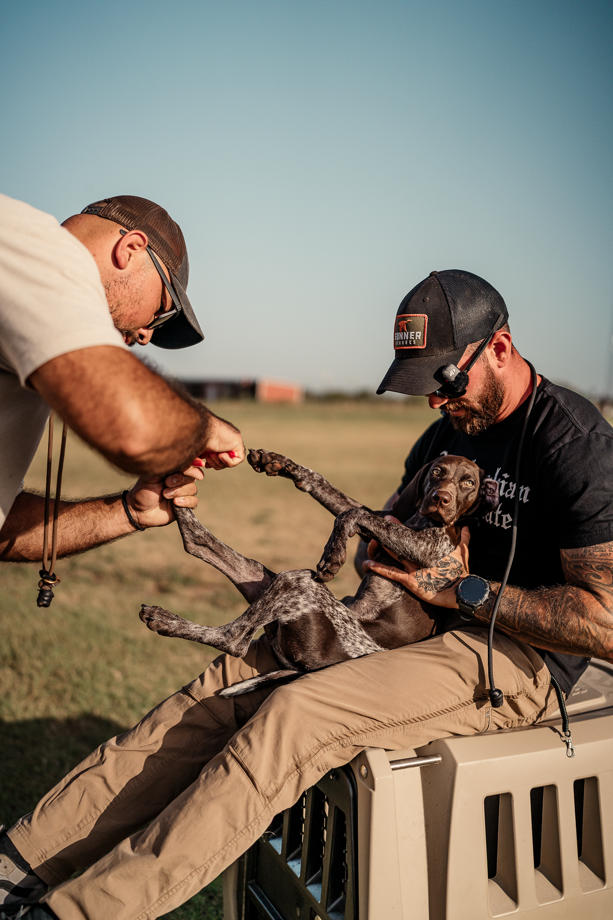 Puppy Board & Train - 2 Weeks