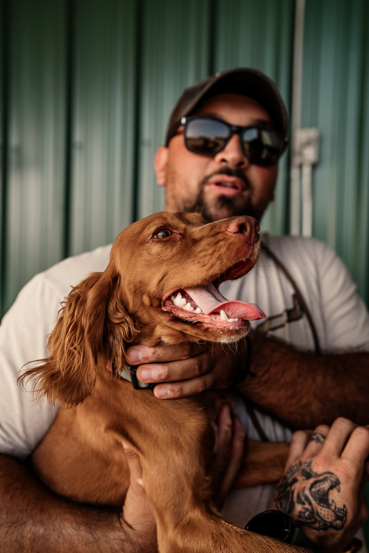 Pup & Up Gun Dog Program
