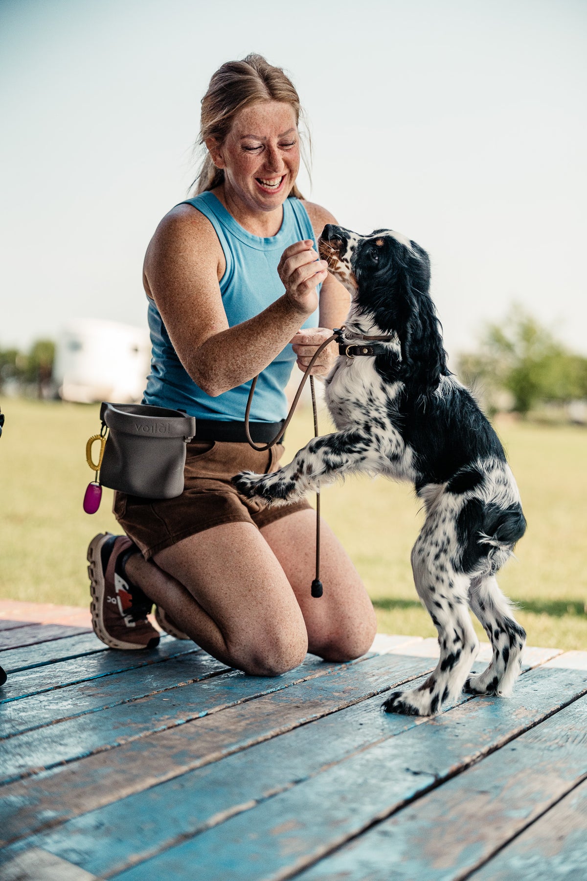 Puppy Board & Train - 2 Weeks