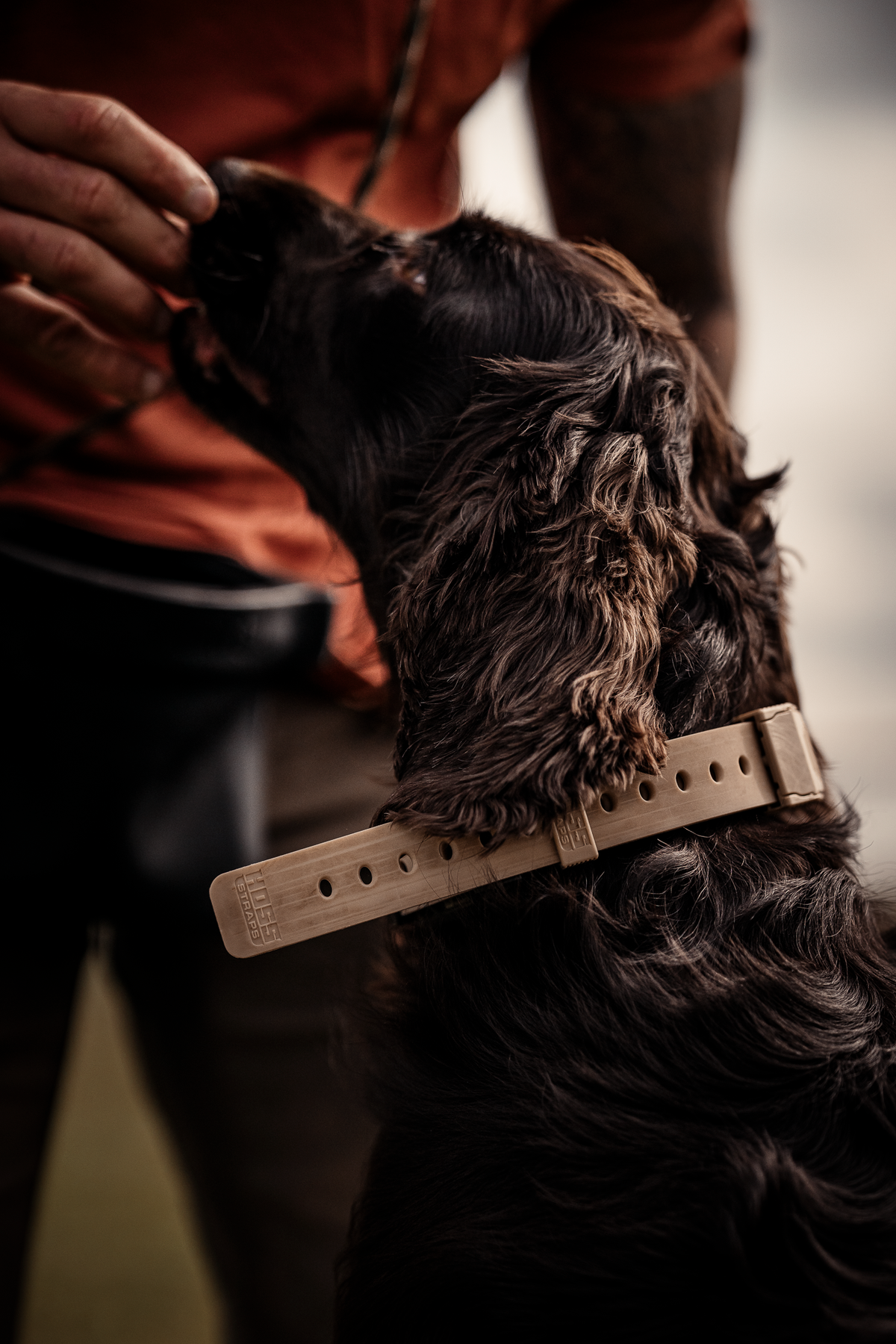 Pup & Up Gun Dog Program