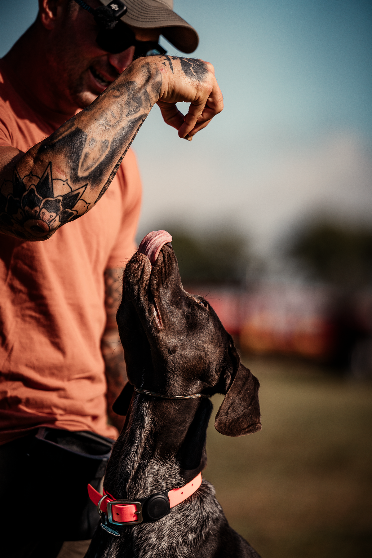 Pup & Up Gun Dog Program