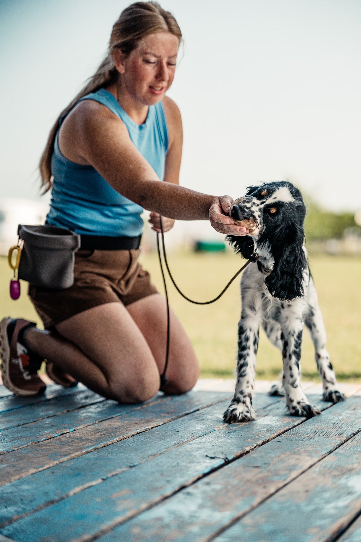 Puppy Board & Train - 2 Weeks