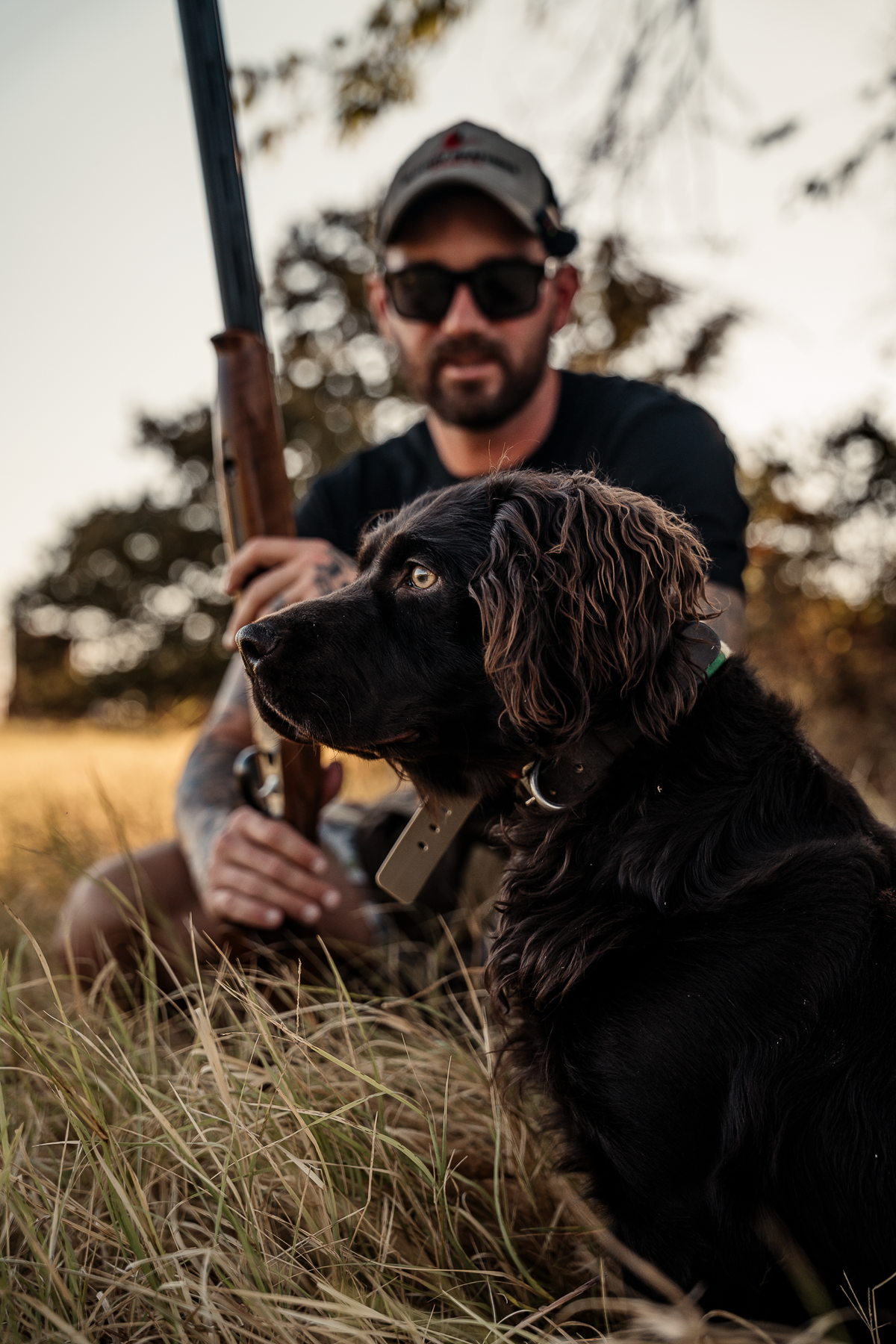 Pup & Up Gun Dog Program