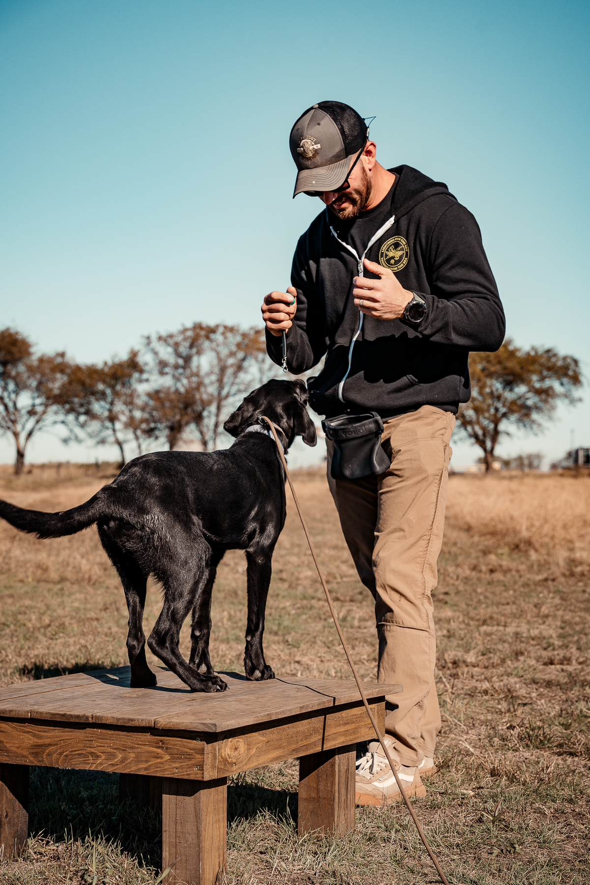 Puppy Board & Train - 2 Weeks