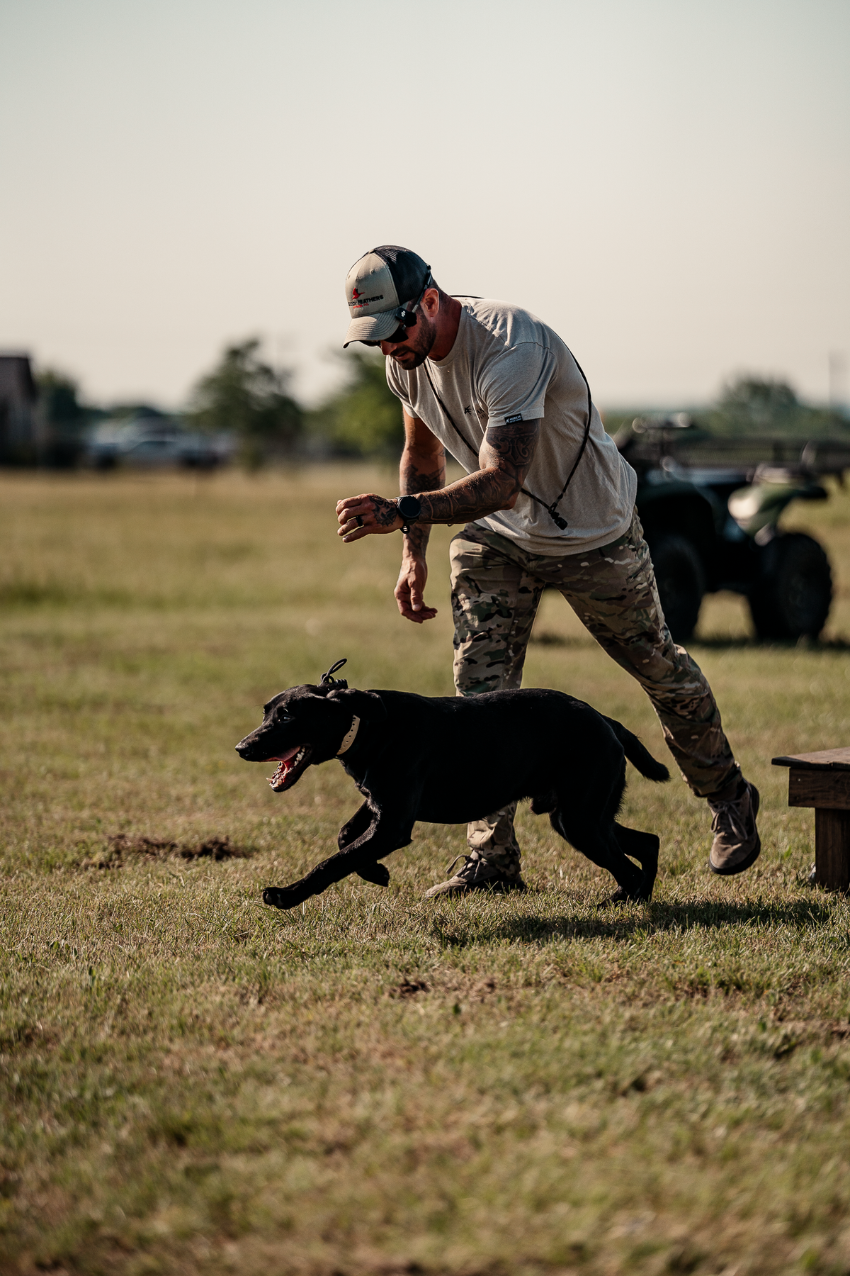 Pup & Up Gun Dog Program