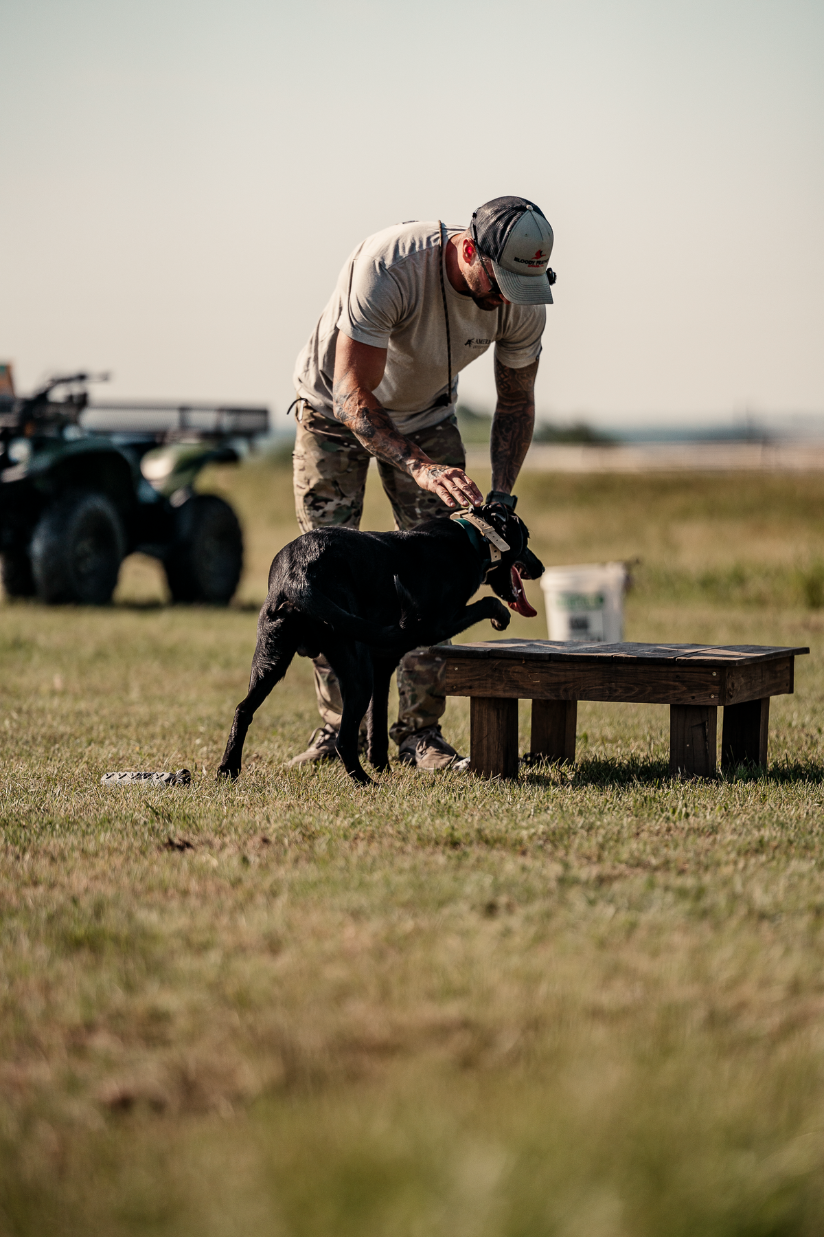 Pup & Up Gun Dog Program