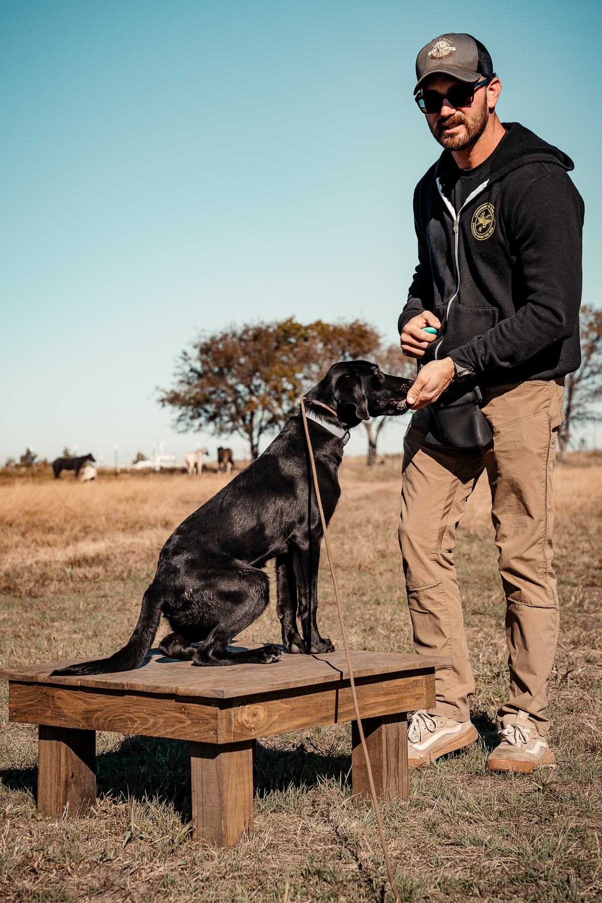 Puppy Board & Train - 2 Weeks